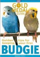 Golden Tips for Keeping Your First Budgie