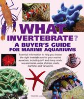What Invertebrate?