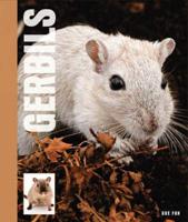 Gerbils