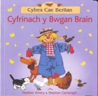 Cyfrinach Y Bwgan Brain