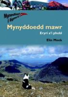 Mynyddoedd Mawr