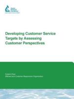 Developing Customer Service Targets by Assessing Customer Perspectives