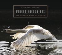 Winged Encounters