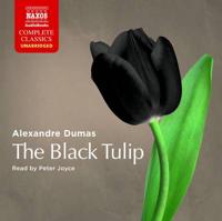 The Black Tulip