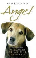 Angel and Other Miracles of Animal Healing