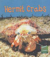 Hermit Crabs