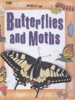 The Secret World of Butterflies and Moths