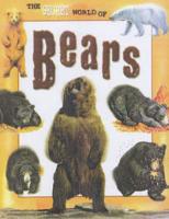 The Secret World of Bears