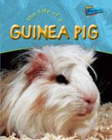 The Life of a Guinea Pig