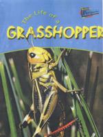 The Life of a Grasshopper