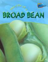 The Life of a Broad Bean