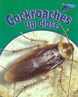 Cockroaches Up Close