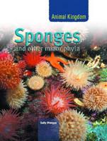 Sponges and Other Minor Phyla