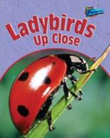 Ladybirds Up Close