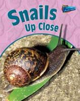 Snails Up Close