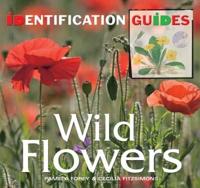 British & European Wild Flowers