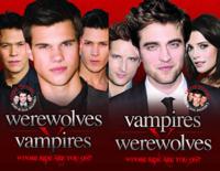 Vampires V Werewolves