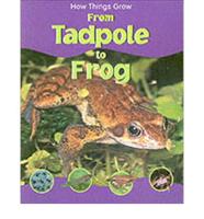 From Tadpole to Frog