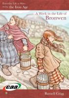 Everyday Life in Wales in the Iron Age