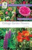 Cottage Garden Flowers