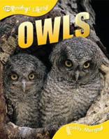 Owls