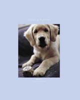 Dogs and Puppies Notecards