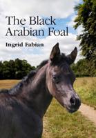 The Black Arabian Foal