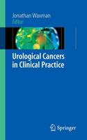 Urological Cancers in Clinical Practice