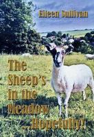 The Sheep's in the Meadow- Hopefully!