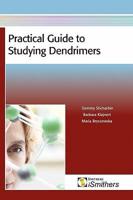 Practical Guide to Studying Dendrimers