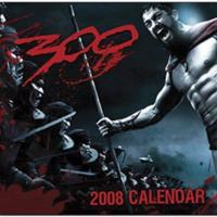 300 Square Calendar 2008