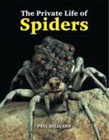 The Private Life of Spiders