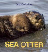 Eye on the Wild: Sea Otter