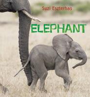 Eye on the Wild: Elephant