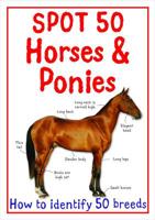 Spot 50 Horses & Ponies