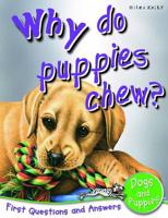 Why Do Puppies Chew?