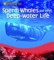 Sperm Whales and Other Deep-Water Life