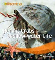 Hermit Crabs and Other Shallow-Water Life