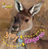 Joey to Kangaroo