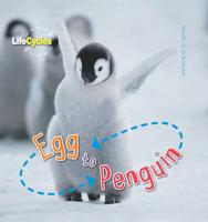 Egg to Penguin