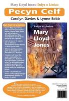 Pecyn Celf Mary Lloyd Jones - Enfys O Liwiau