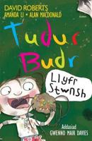 Tudur Budr: Llyfr Stwnsh