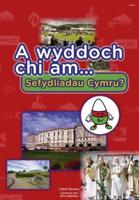 A Wyddoch Chi Am Sefydliadau Cymru?