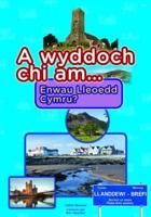 A Wyddoch Chi Am Enwau Lleoedd Cymru?