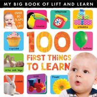 My Big Book of Lift and Learn: 100 First Things to Learn