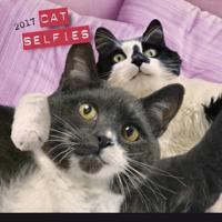 Cat Selfies 2017