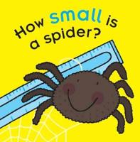 How Small Is a Spider?