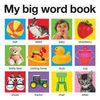 My Big Word Book