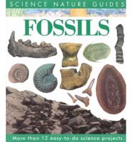Fossils of the World