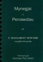 Mynegai I'r Penawdau Yn "Y Testament Newydd: Argraffiad Diwygiedig"